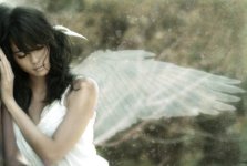 lovely,angel,bird,crane,wing,alone-5426b9bda1521d3be040edf9a12f779e_h.jpg