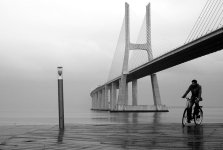 lovely-photographs-of-rain_3.jpg
