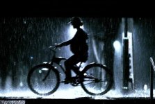lovely-photographs-of-rain_7.jpg