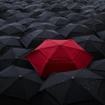 umbrella,black,individual,red,crowd,people-5f9aceb25e8eb3747568edf9f8bb3c65_h.jpg
