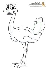 cartoon-ostrich-6.jpg