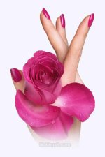 pink-flower-on-girls-fingers-320x480-iphone-wallpaper.jpg