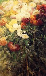 Chrysanthemums, Garden at Petit Gennevilliers .jpg