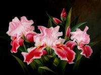 Flower_Painting-035.JPG