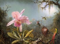 Reproduction_Painting_United States_Heade, Martin Johnson 1819 - 1904_Cattelya Orchid and Three .jpg