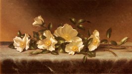 Reproduction_Painting_United States_Heade, Martin Johnson 1819 - 1904_Cherokee Roses On A Light .jpg