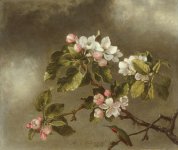 Reproduction_Painting_United States_Heade, Martin Johnson 1819 - 1904_Hummingbird and Apple Blos.jpg