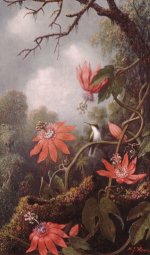 Reproduction_Painting_United States_Heade, Martin Johnson 1819 - 1904_Hummingbird and Passionflo.jpg