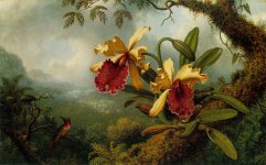 Reproduction_Painting_United States_Heade, Martin Johnson 1819 - 1904_Orchids and Hummingbird.jpg