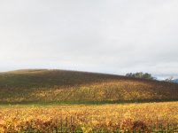 xp (3)-thumb-450x337-305.jpg