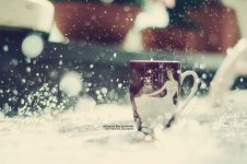 cup,snow,winter,wedding-4d886aead0095ac64495598328606c19_h.jpg