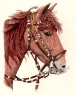 Color Pencil-Horse-Iranjoman (10).jpg