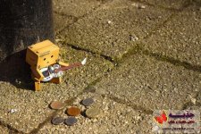 danbo-busking16.jpg