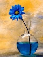 Blue Flower.jpg