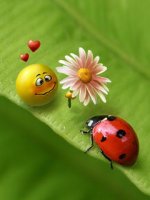 for-my-ladybug.jpg