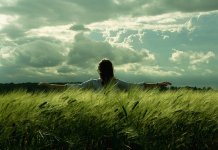 feel,field,wind,nature,freedom,free-c8a4c079c8422b4bc6a9d9c957a32040_h.jpg