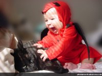 funny-cats-and-babies.jpg