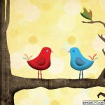 bird-illustration-ciara-1.jpg