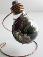 green-terrarium3.jpg