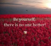 Be yourself. there is no one better.jpg