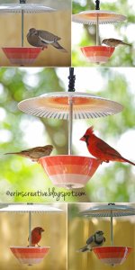 Bird-Feeder-from-Dishes.jpg