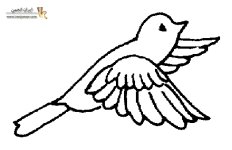 Bird-Design-Iranjoman.jpg