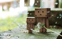 Danbo_Danboard_photo_353053.jpg