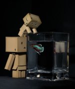 8-cute-funny-danbo-cardboard-box-art-cheering-poor-fish.jpg