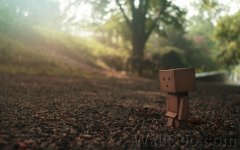 Danbo_Danboard_photo_151033.jpg