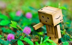 Danbo_Danboard_photo_262144.jpg