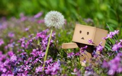 Danbo_Danboard_photo_342952.jpg