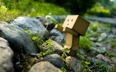 Danbo_Danboard_photo_110629.jpg