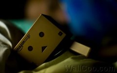 Danbo_Danboard_photo_252043.jpg