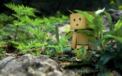 Danbo_Danboard_photo_120730.jpg