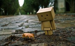 Danbo_Danboard_photo_211639.jpg