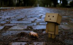 Danbo_Danboard_photo_241942.jpg