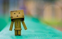 Danbo_Danboard_photo_272245.jpg