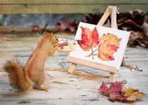 squirrels-7.jpg