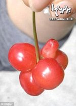 183169_926.jpg