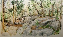 Natur-Water Color-Iranjoman (15).jpg