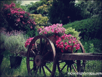 download.gif