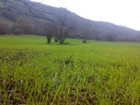 20090226203.jpg