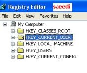 saeedi3.JPG