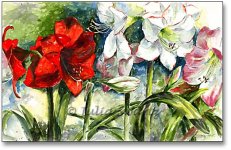 Amaryllis_flower_watercolor_painting_L.jpg