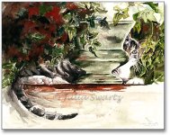 Aussie_L_cat_watercolor_painting.jpg