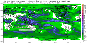 gfs-ens_apcpn_global_24.png