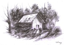 Solmaz-Tarahi-Cottage In Jungle's Heart.jpg