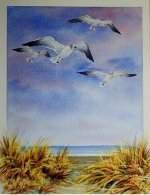 Natur2-Water Color-Iranjoman  (14).jpg