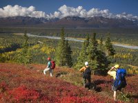 autumn-hikers-denali_3302_600x450[1].jpg