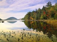 autumn-eagle-lake_3298_600x450[1].jpg